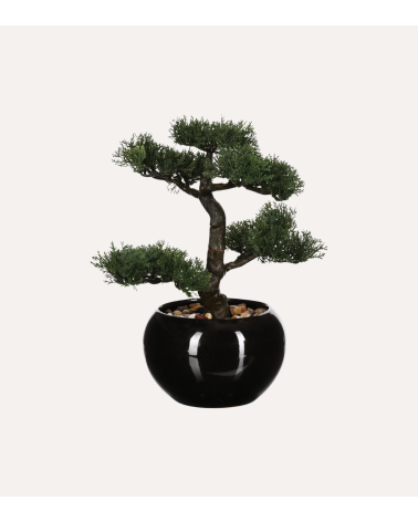 Bonsain con Maceta de Cerámica