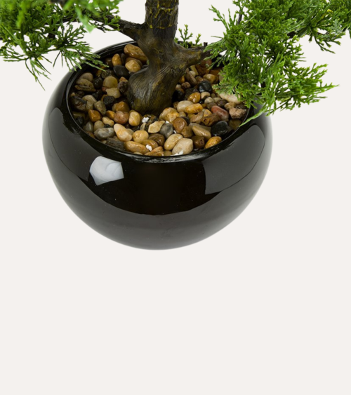 Bonsain con Maceta de Cerámica