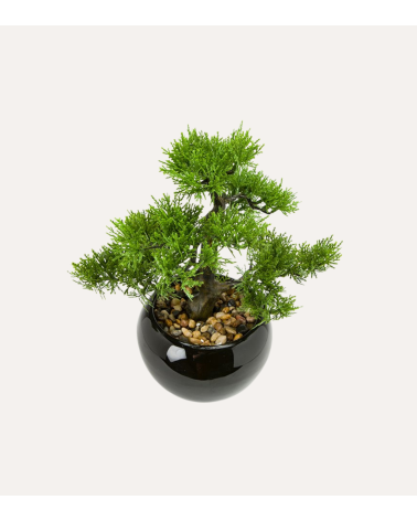 Bonsain con Maceta de Cerámica