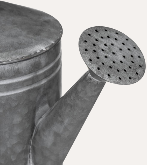 Regadera de Jardín de Metal