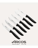 Set de 6 Cuchillos Niza de Acero Inoxidable