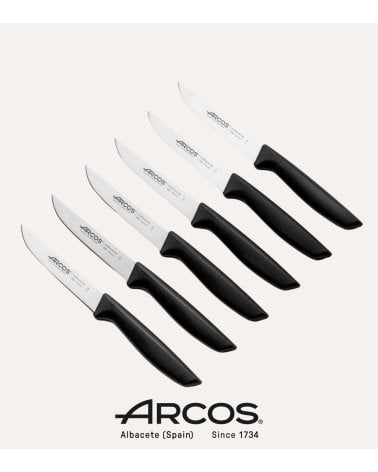 Set de 6 Cuchillos Niza de Acero Inoxidable