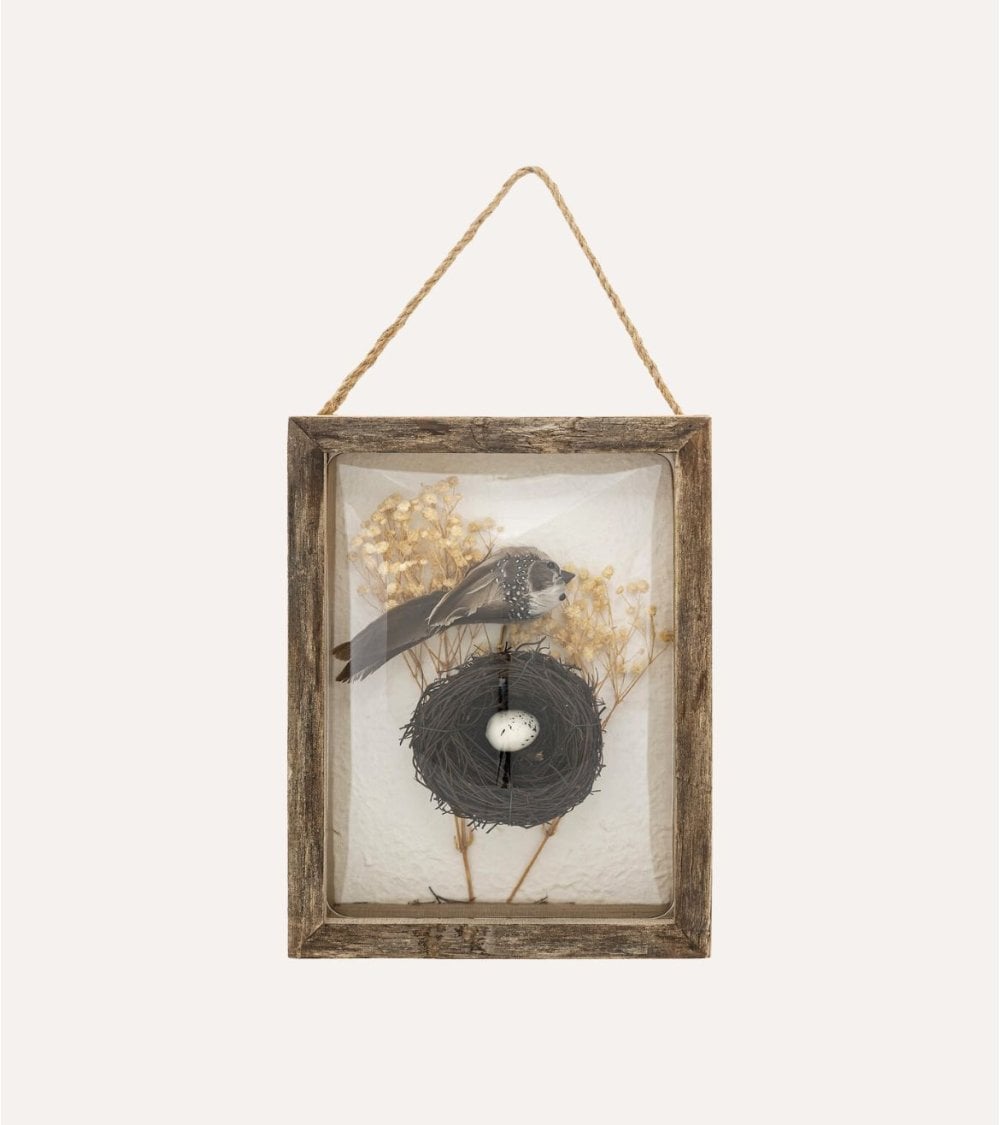 Marco Curvo Pájaro Jolan Wood