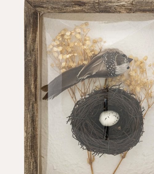 Marco Curvo Pájaro Jolan Wood