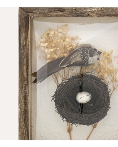 Marco Curvo Pájaro Jolan Wood