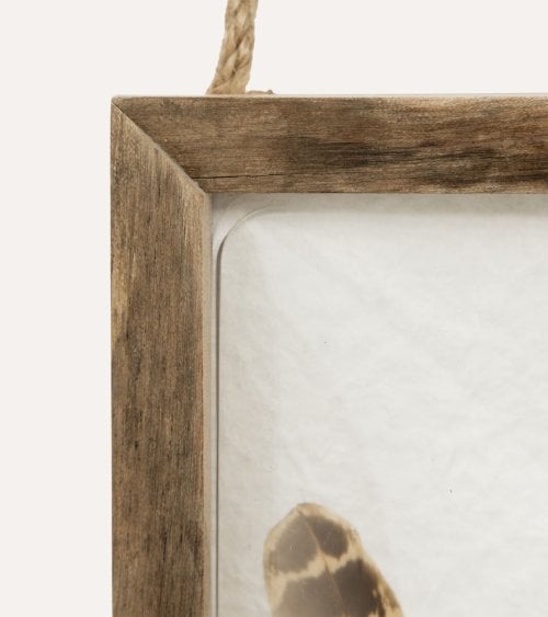 Marco Curvo Pájaro Jolan Wood