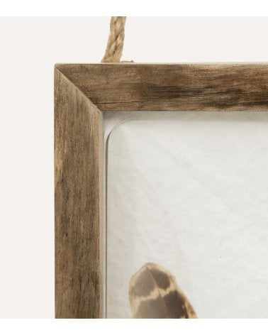 Marco Curvo Pájaro Jolan Wood