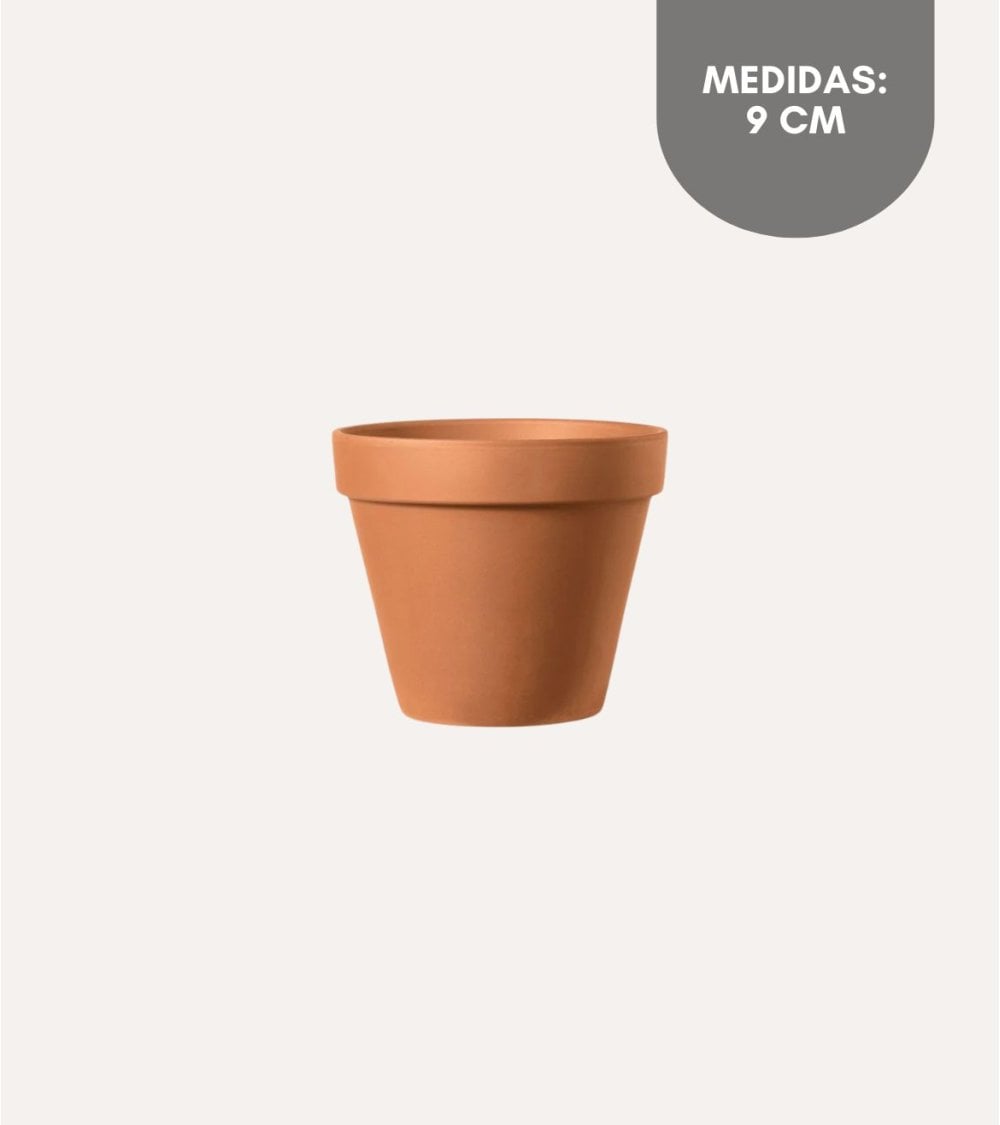 Maceta Redonda de Barro Rojo