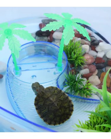 Acuario Isla para Casa de Tortugas