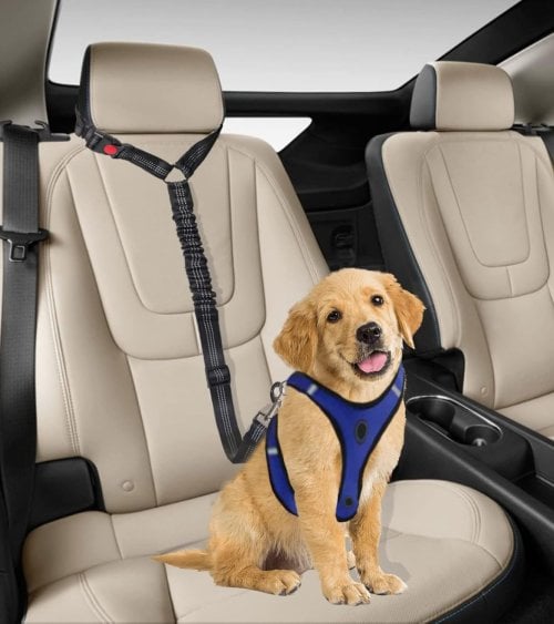 Cinturón de Seguridad de Mascotas con Enganche a Reposacabezas