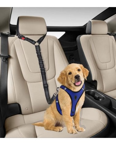 Cinturón de Seguridad de Mascotas con Enganche a Reposacabezas