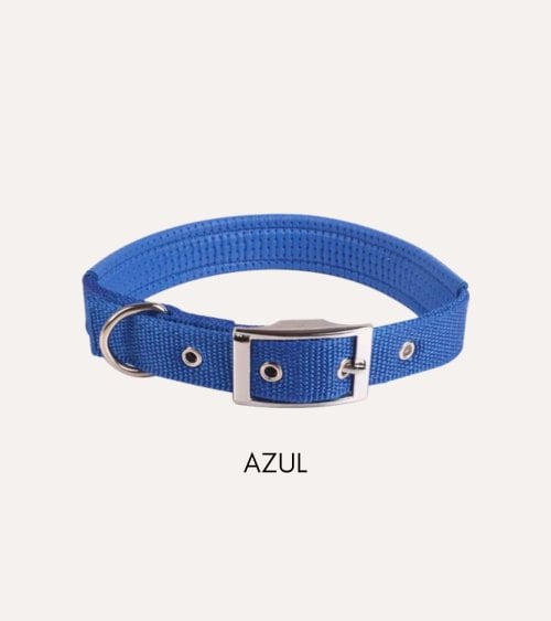 Collar para Perros de Espuma Sólida