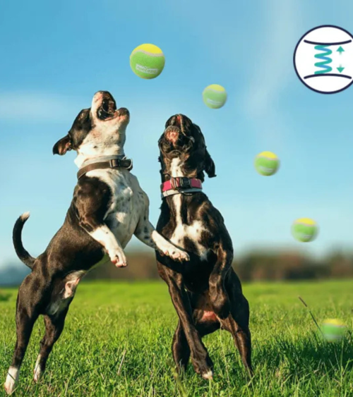 Pelotas de Tenis para Mascotas de Caucho