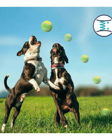 Pelotas de Tenis para Mascotas de Caucho