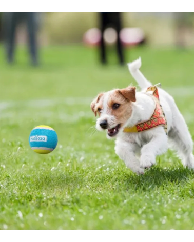 Pelotas de Tenis para Mascotas de Caucho