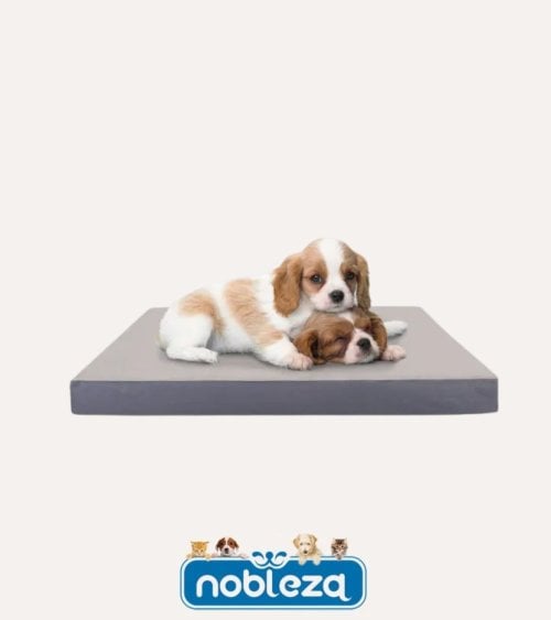 Cama de Esponja para Mascotas