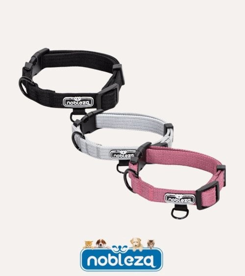 Collar para Perros Trenzado de Doble Capa