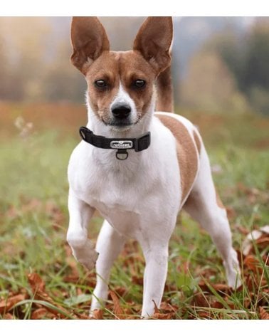 Collar para Perros Trenzado de Doble Capa