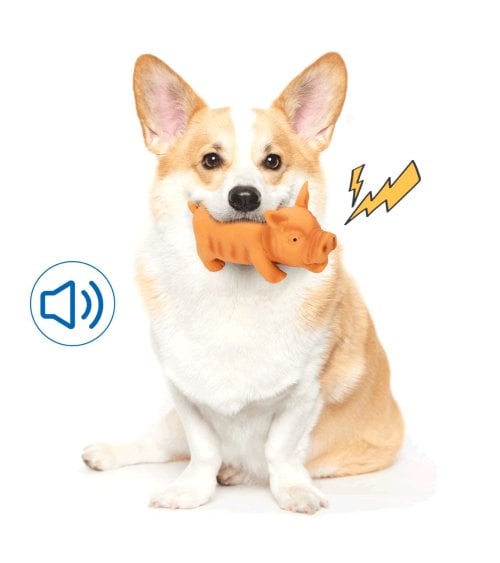 Juguete de Cerdo para Mascotas de Látex