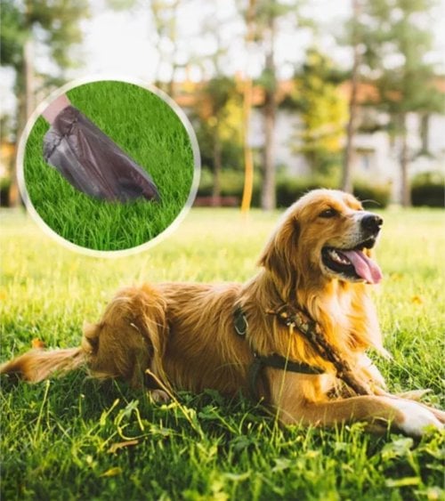Set de 12 Rollos de Bolsas de Basura para Perros