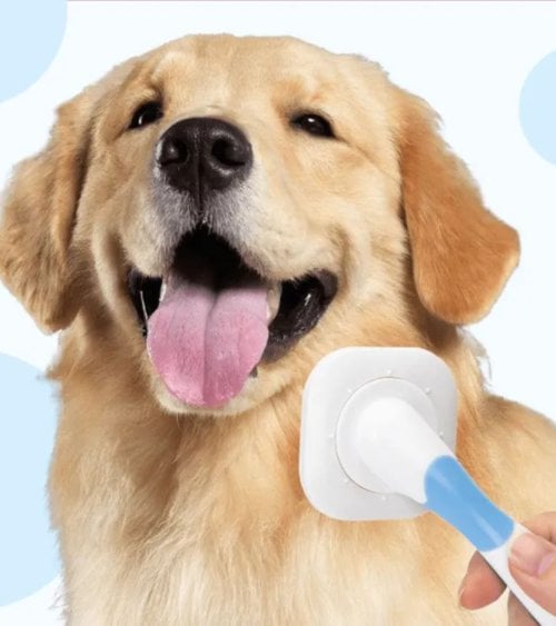 Cepillo para Mascotas 360º con Cabeza Giratoria