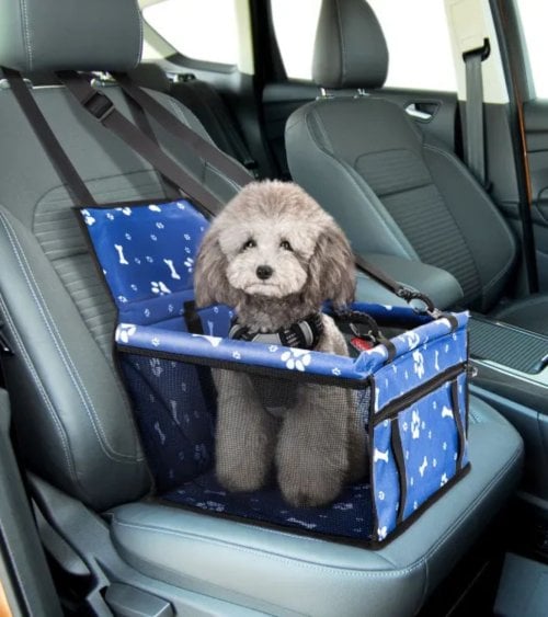 Asiento para Mascotas en el Coche