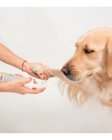 Champú Limpiador de Patas para Perros y Gatos con Cepillo
