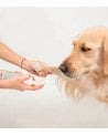 Champú Limpiador de Patas para Perros y Gatos con Cepillo