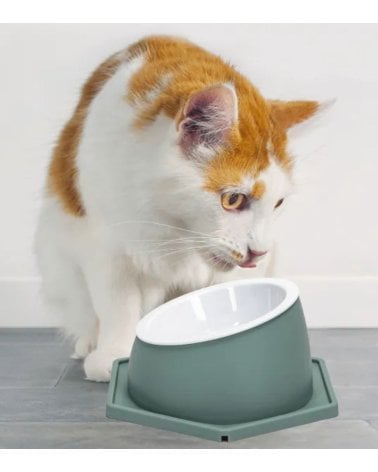 Comedor Elevado Geomético para Gatos de Plástico