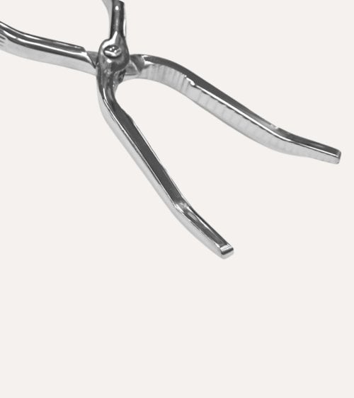 Pinza para Mariscos Roxa de Acero Inox 18/10