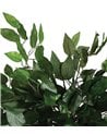 Planta Artificial Ficus para Interior con Maceta de Cemento