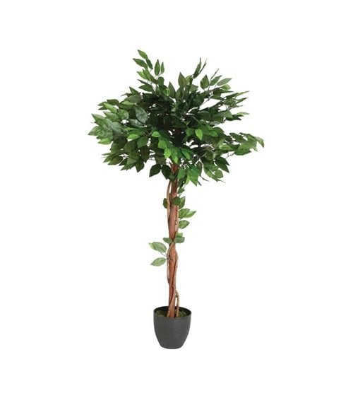 Planta Artificial Ficus para Interior con Maceta de Cemento