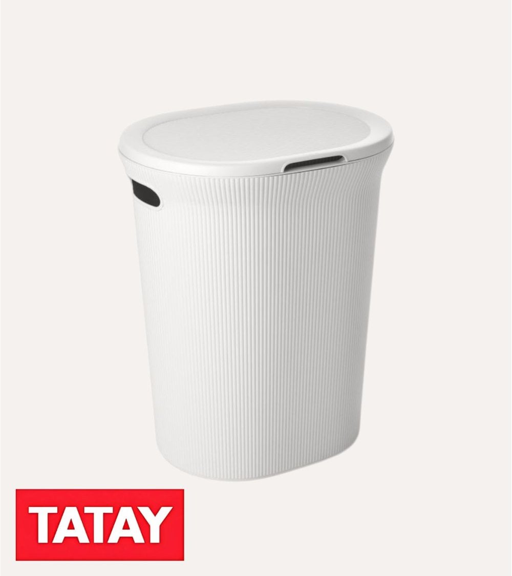 Pongotodo Baobab con Asas de Plástico