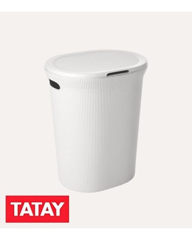 Pongotodo Baobab con Asas de Plástico