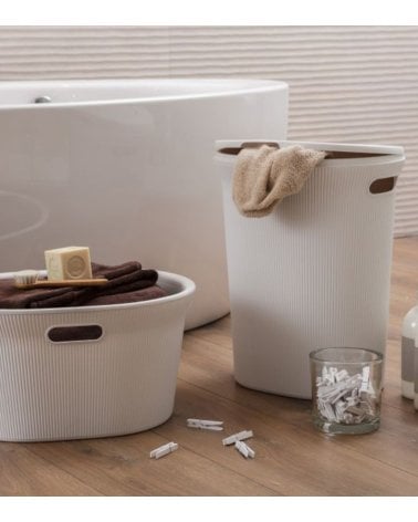 Pongotodo Baobab con Asas de Plástico