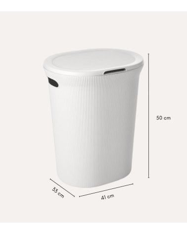 Pongotodo Baobab con Asas de Plástico