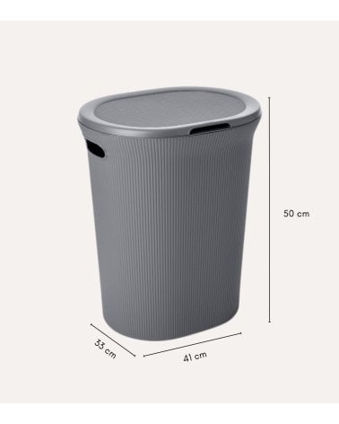 Pongotodo Baobab con Asas de Plástico