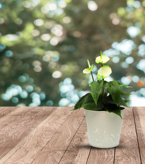 Maceta Grey Garden de Metal