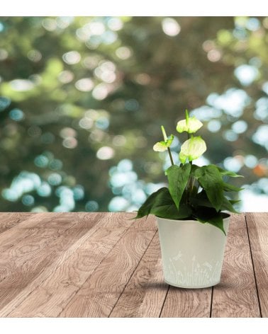 Maceta Grey Garden de Metal