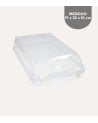 Caja para Zapatos Transpirable de Plástico