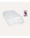 Caja para Zapatos Transpirable de Plástico