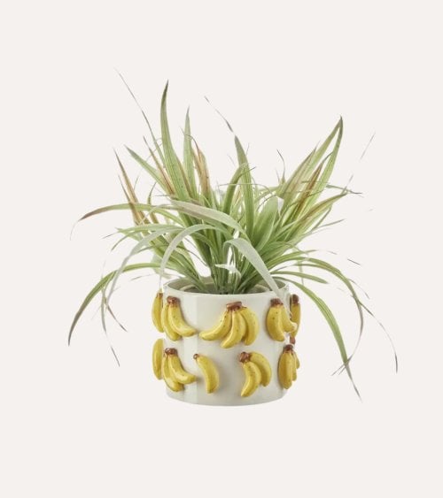 Macetero de Plátanos de Cerámica