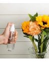 Botella Spray Pulverizador de Plástico