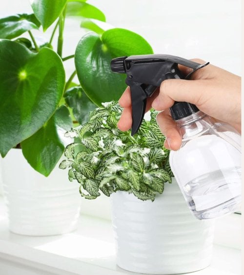 Botella Pulverizadora Bola de Plástico