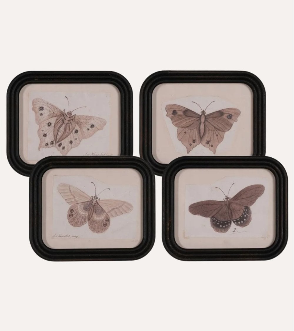 Cuadro Mariposa Vintage de MDF y Cristal