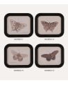 Cuadro Mariposa Vintage de MDF y Cristal