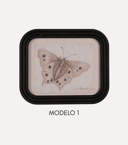 Cuadro Mariposa Vintage de MDF y Cristal