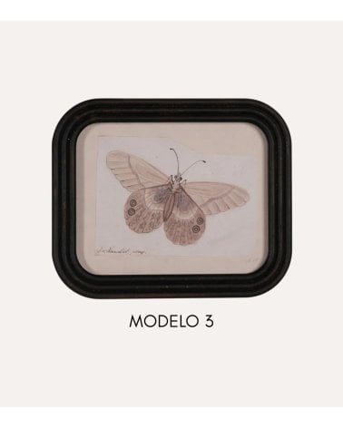 Cuadro Mariposa Vintage de MDF y Cristal