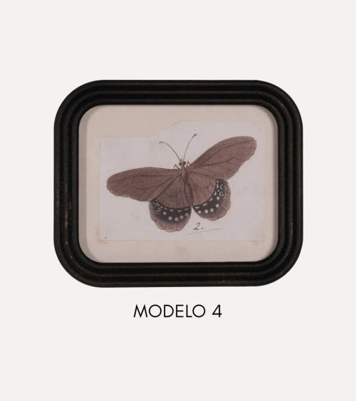 Cuadro Mariposa Vintage de MDF y Cristal