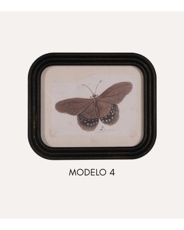 Cuadro Mariposa Vintage de MDF y Cristal
